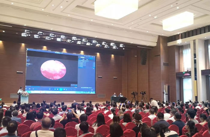 公司参加西部耳鼻咽喉头颈外科学术会